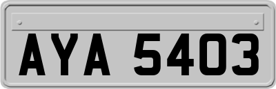 AYA5403