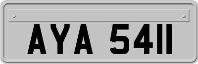 AYA5411