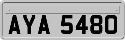 AYA5480