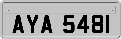 AYA5481