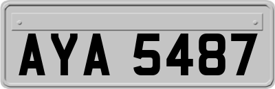 AYA5487