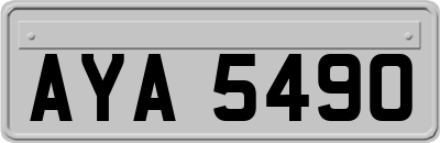 AYA5490