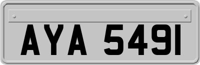 AYA5491