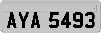 AYA5493