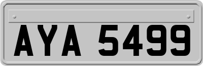 AYA5499