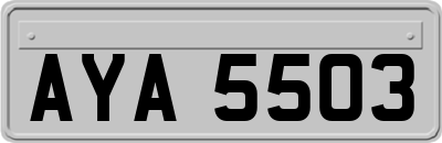 AYA5503