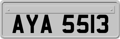 AYA5513