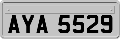 AYA5529