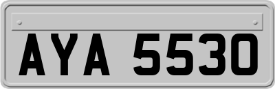 AYA5530