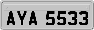AYA5533