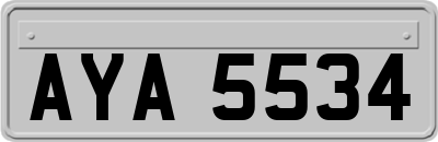 AYA5534