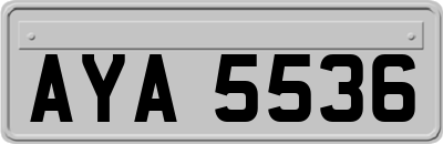 AYA5536