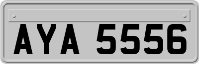 AYA5556