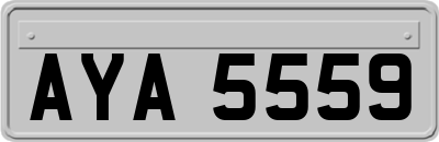 AYA5559