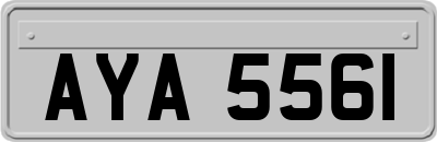AYA5561