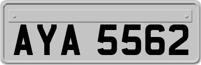 AYA5562