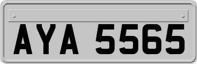 AYA5565