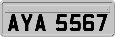 AYA5567