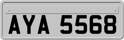 AYA5568
