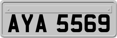 AYA5569