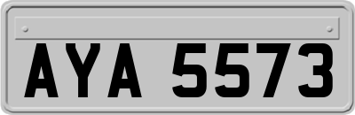AYA5573