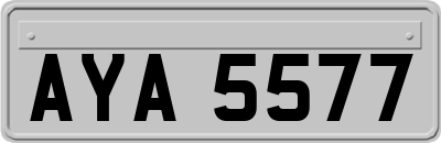 AYA5577