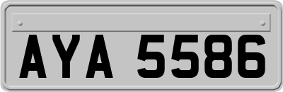 AYA5586