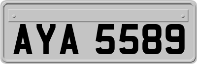 AYA5589
