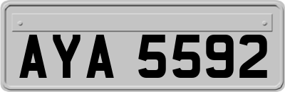 AYA5592