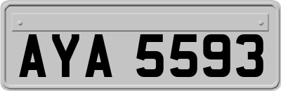AYA5593