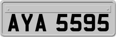 AYA5595