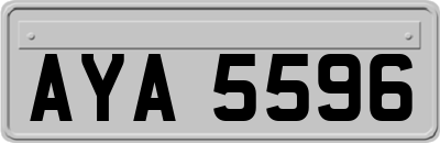 AYA5596