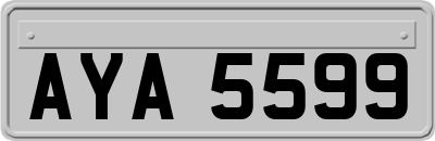 AYA5599