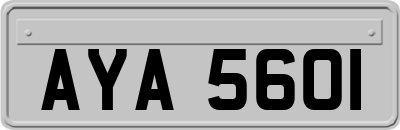 AYA5601