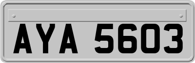 AYA5603