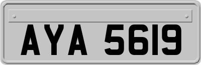 AYA5619