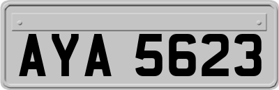 AYA5623