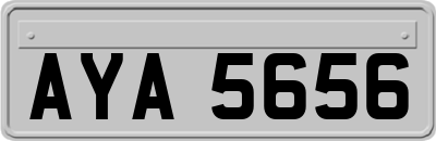 AYA5656