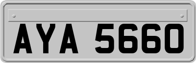 AYA5660