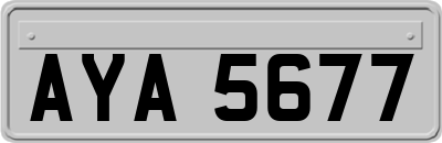 AYA5677