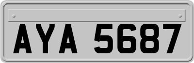 AYA5687