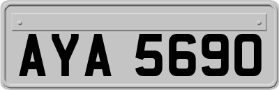 AYA5690