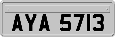 AYA5713