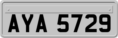 AYA5729