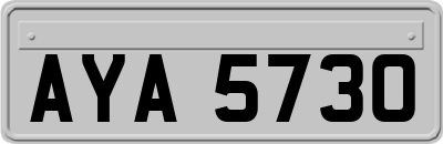 AYA5730