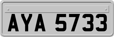 AYA5733