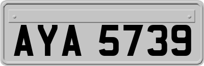 AYA5739