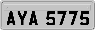 AYA5775