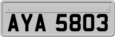 AYA5803
