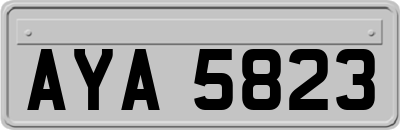 AYA5823